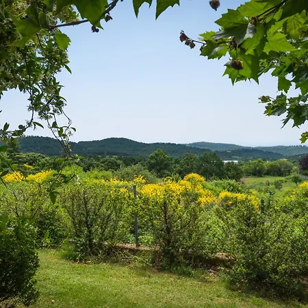 Country I & Country Ii Tatil Evi